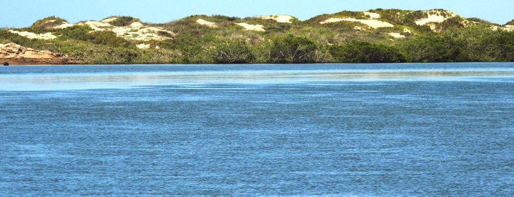 Realizan estudio de caracterización de dunas en El Mogote y Puerto Chale