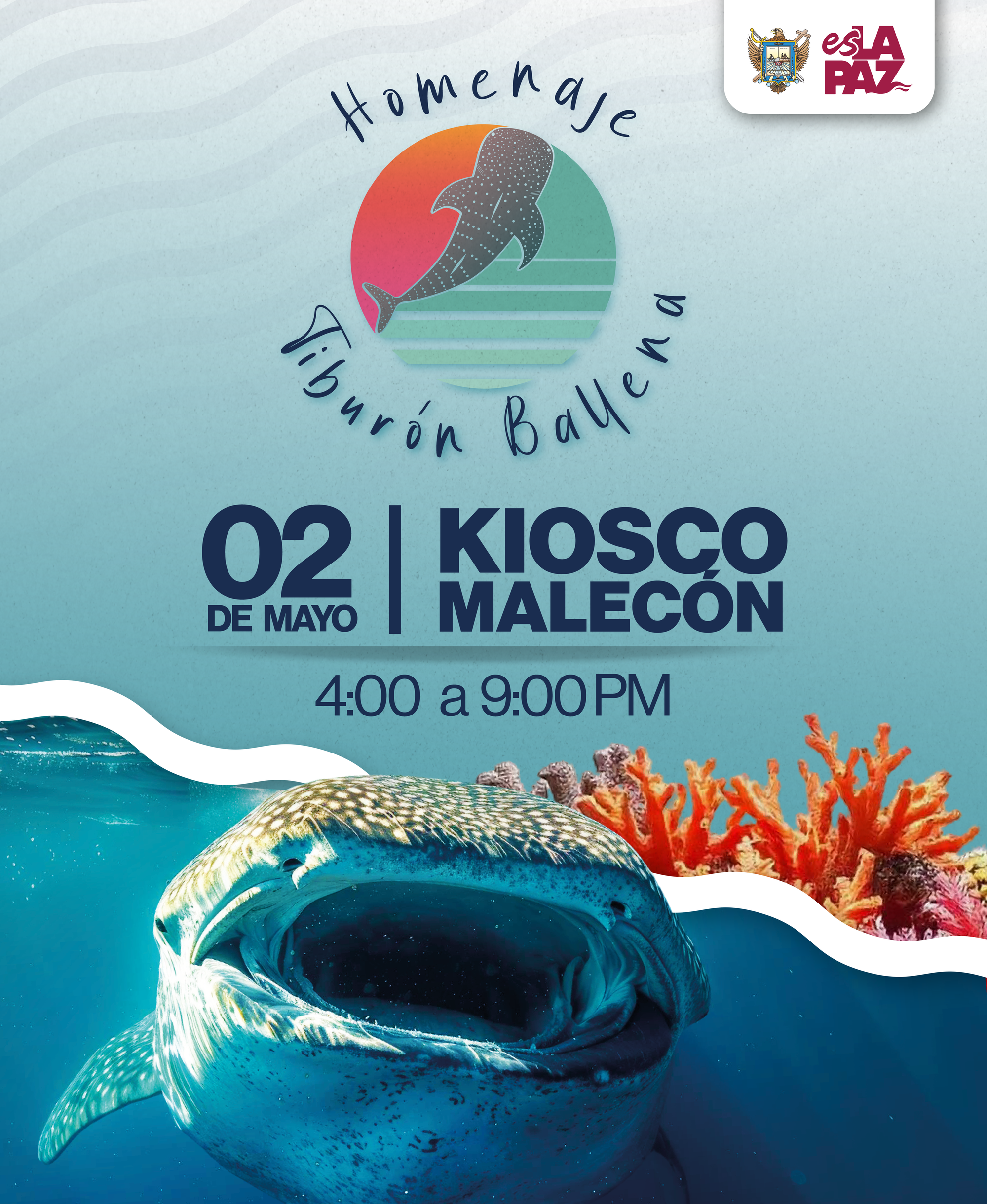 Gobierno Municipal de La Paz invita al Festival del Tiburón Ballena 2025