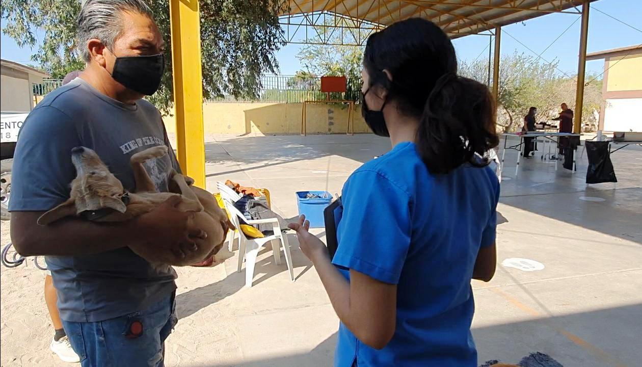 Atienden 47 mascotas en Campaña de Esterilización en Pueblo Nuevo