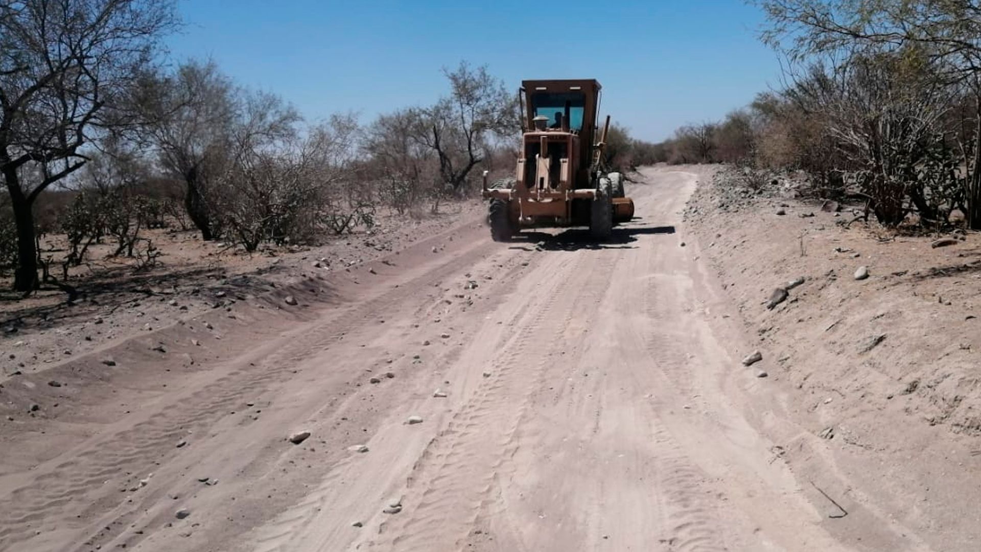 Rehabilita Servicios Públicos 132 kilómetros de caminos en Los Dolores