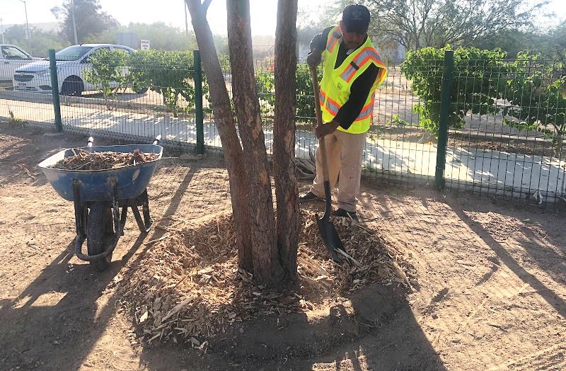 Aplica Servicios Públicos 250 kilos de mulch en el Parque “El Pescador”