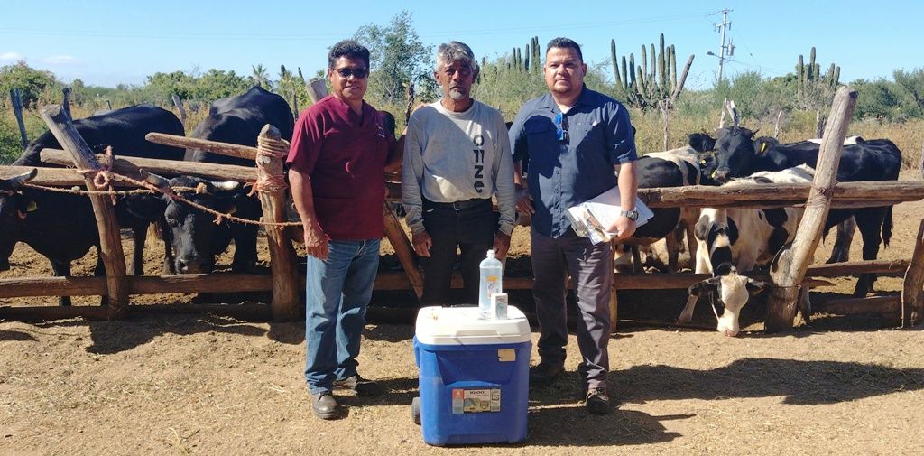 Beneficia Ayuntamiento de La Paz a 150 ganaderos
