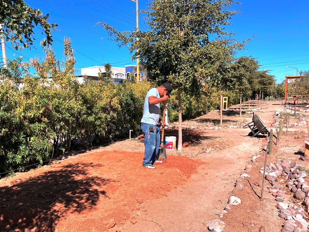 Inician obra en el Oasis Urbano del Ayuntamiento de La Paz