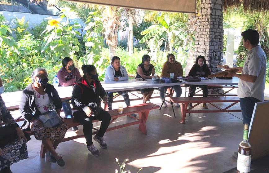 Imparten el Primer Taller de Huertos de Traspatio en La Paz