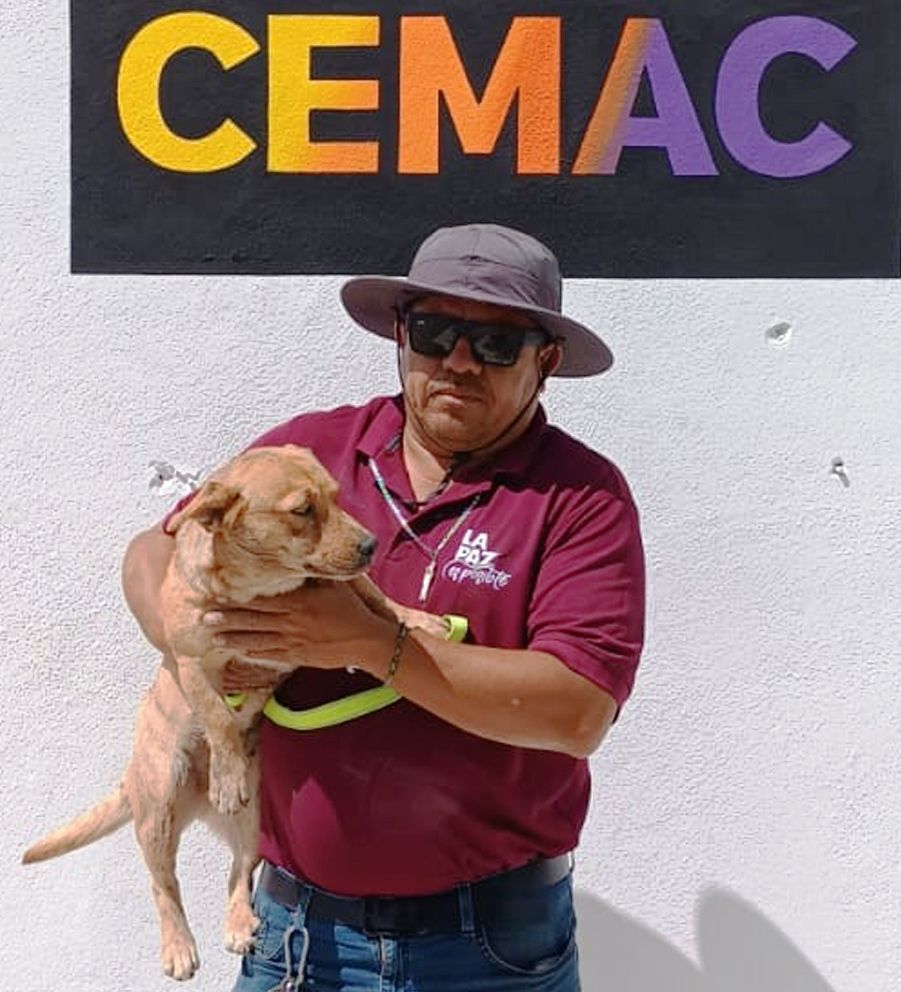 Fomenta el CEMAC la adopción de perritos y brindarles un nuevo hogar