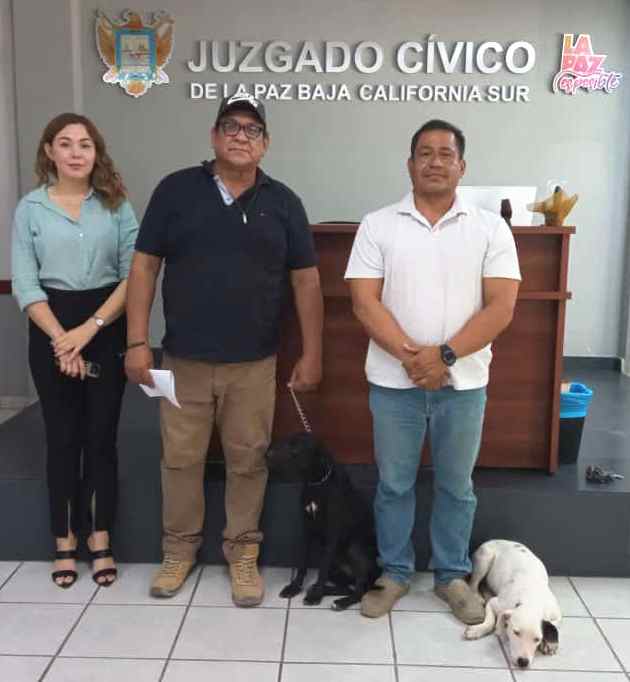 Formaliza CEMAC adopción de 13 perritos durante junio
