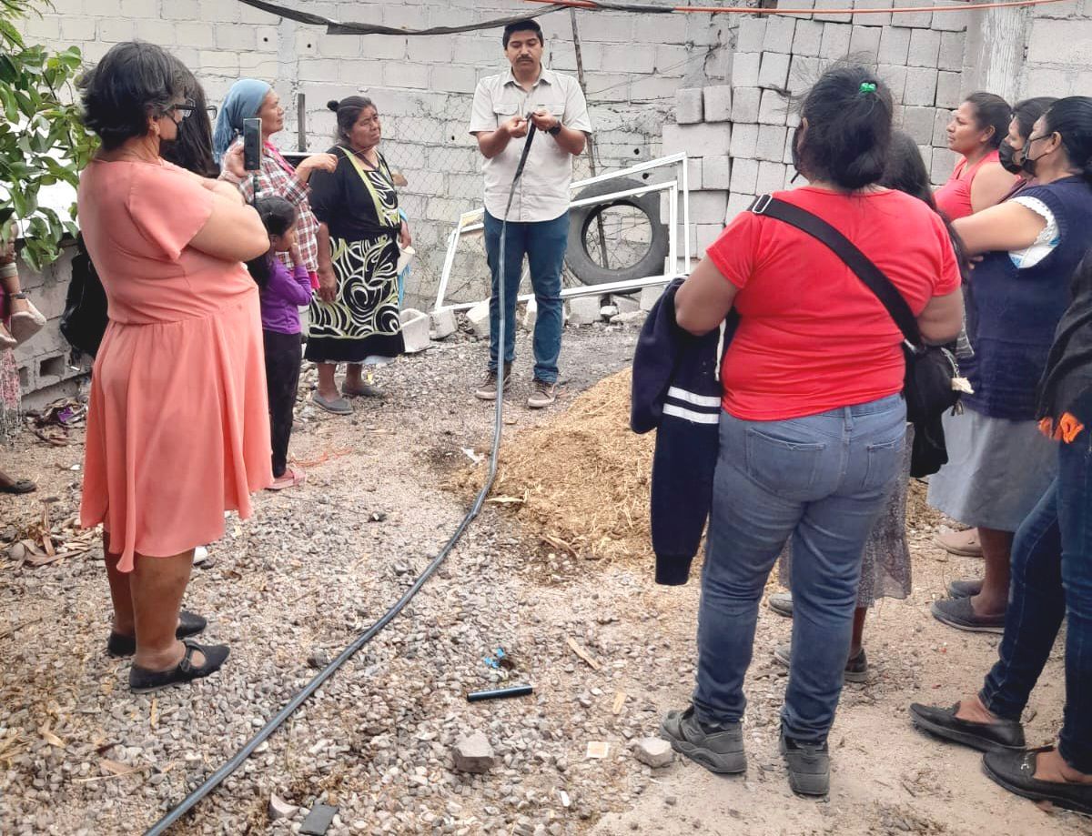 Imparten el cuarto Taller de Huertos de Traspatio en La Paz