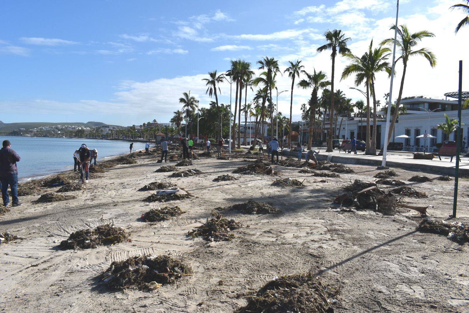 Se unen ciudadanos, comerciantes y gobierno municipal en la limpieza del Malecón de La Paz