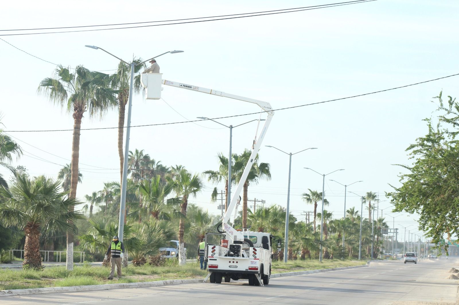 En 3 días repara Servicios Públicos Municipales 800 luminarias