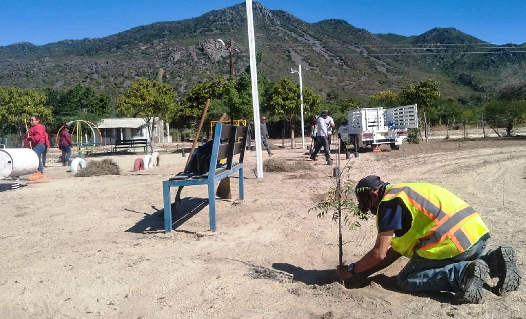 Realizan mantenimiento y reforestación en espacios públicos de Álvaro Obregón