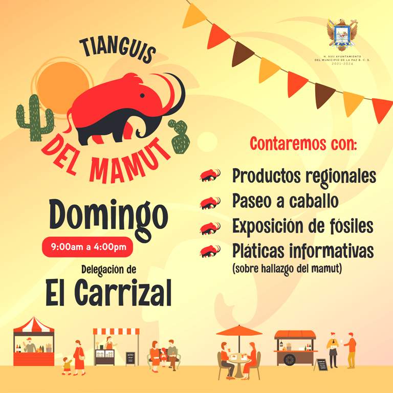 Invita Ayuntamiento de La Paz al Tianguis del Mamut en El Carrizal
