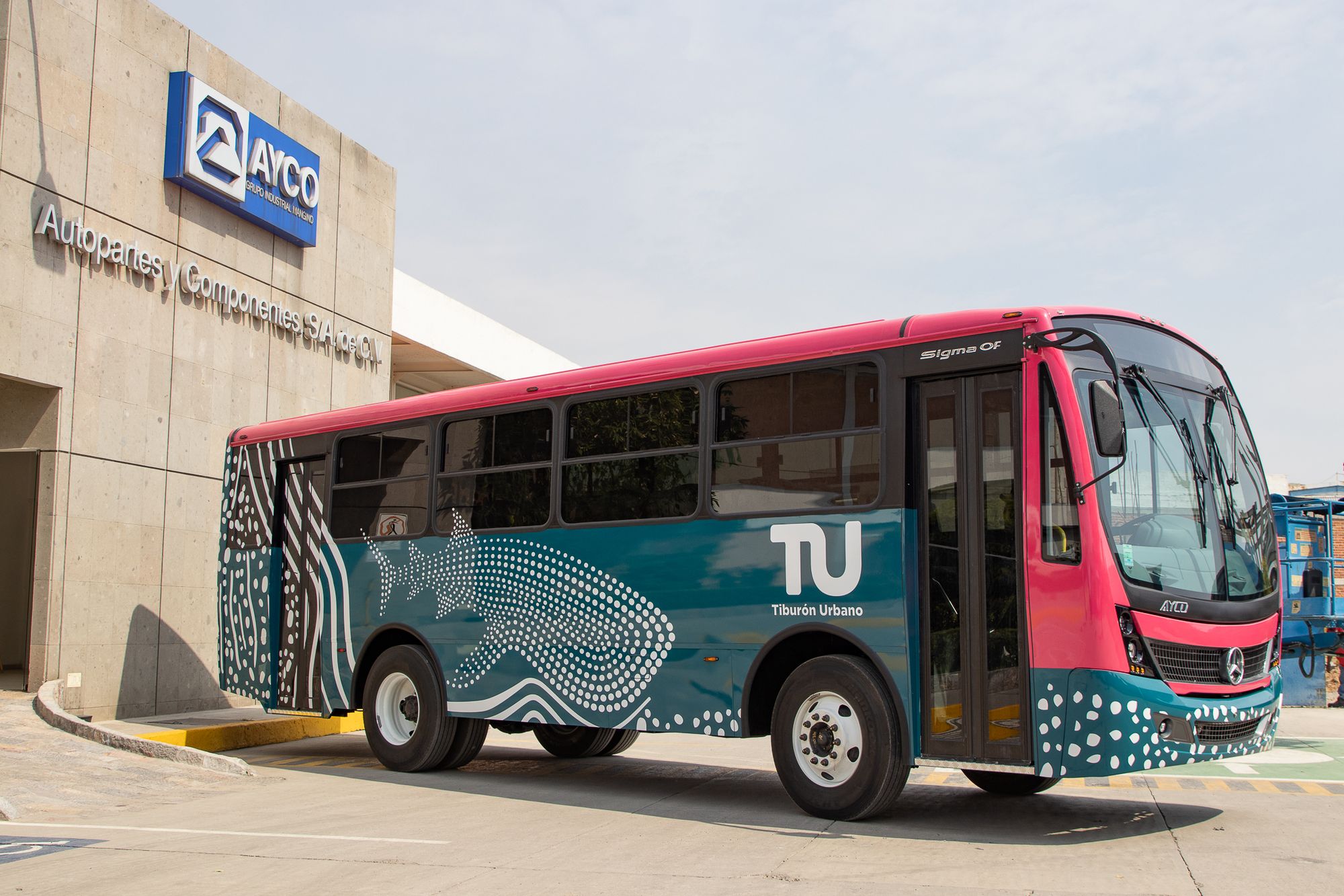 10 Nuevas unidades de Tiburón Urbano llegarán a La Paz en los próximos meses.