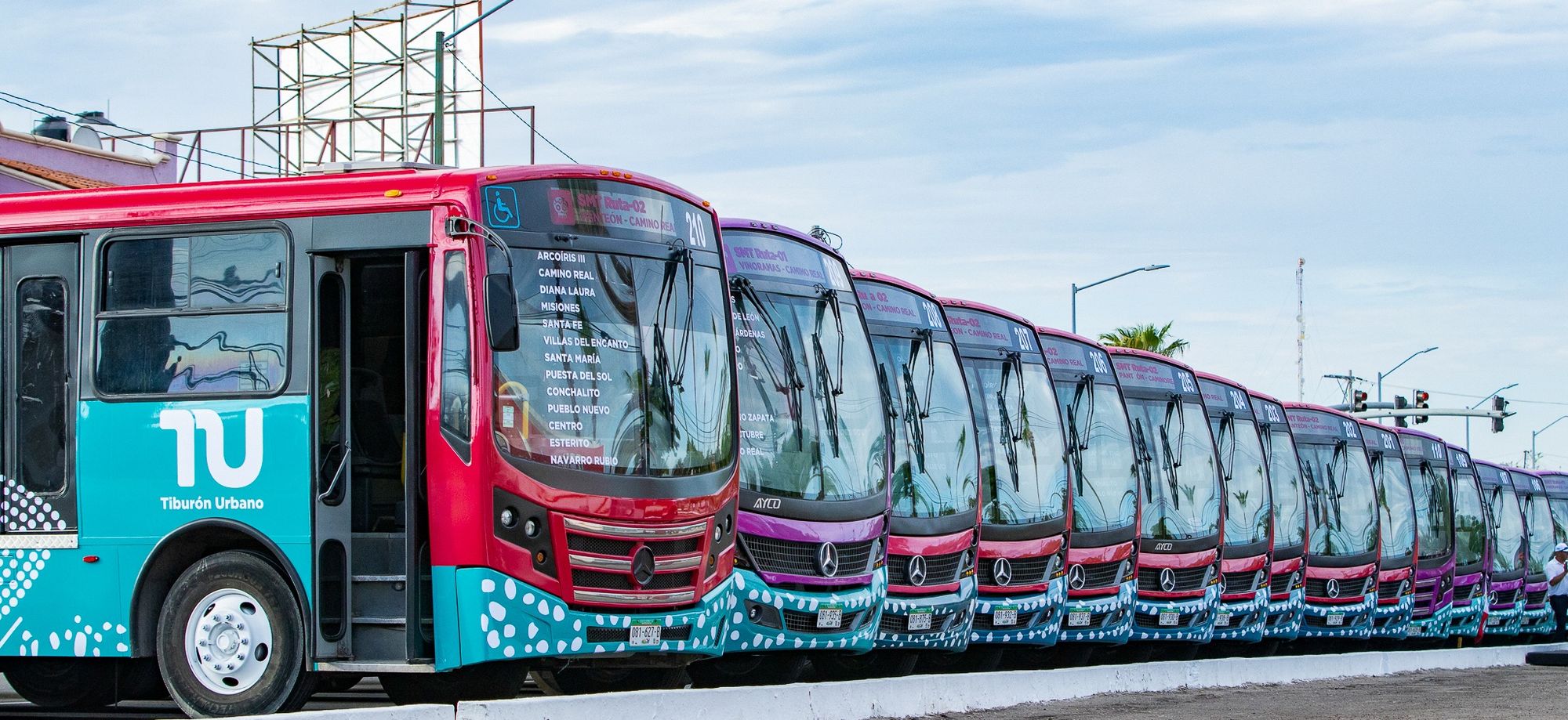 Alcaldesa da banderazo de arranque del nuevo Sistema Municipal de Transporte Urbano en La Paz