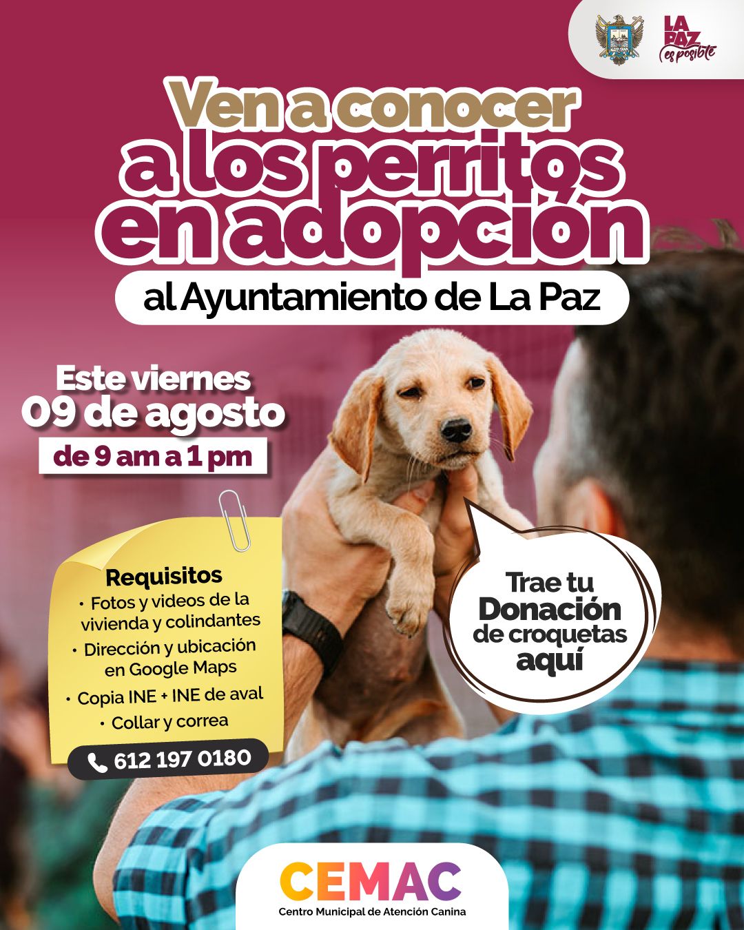 Invita CEMAC a la jornada de adopción de perritos en la explanada de Palacio Municipal