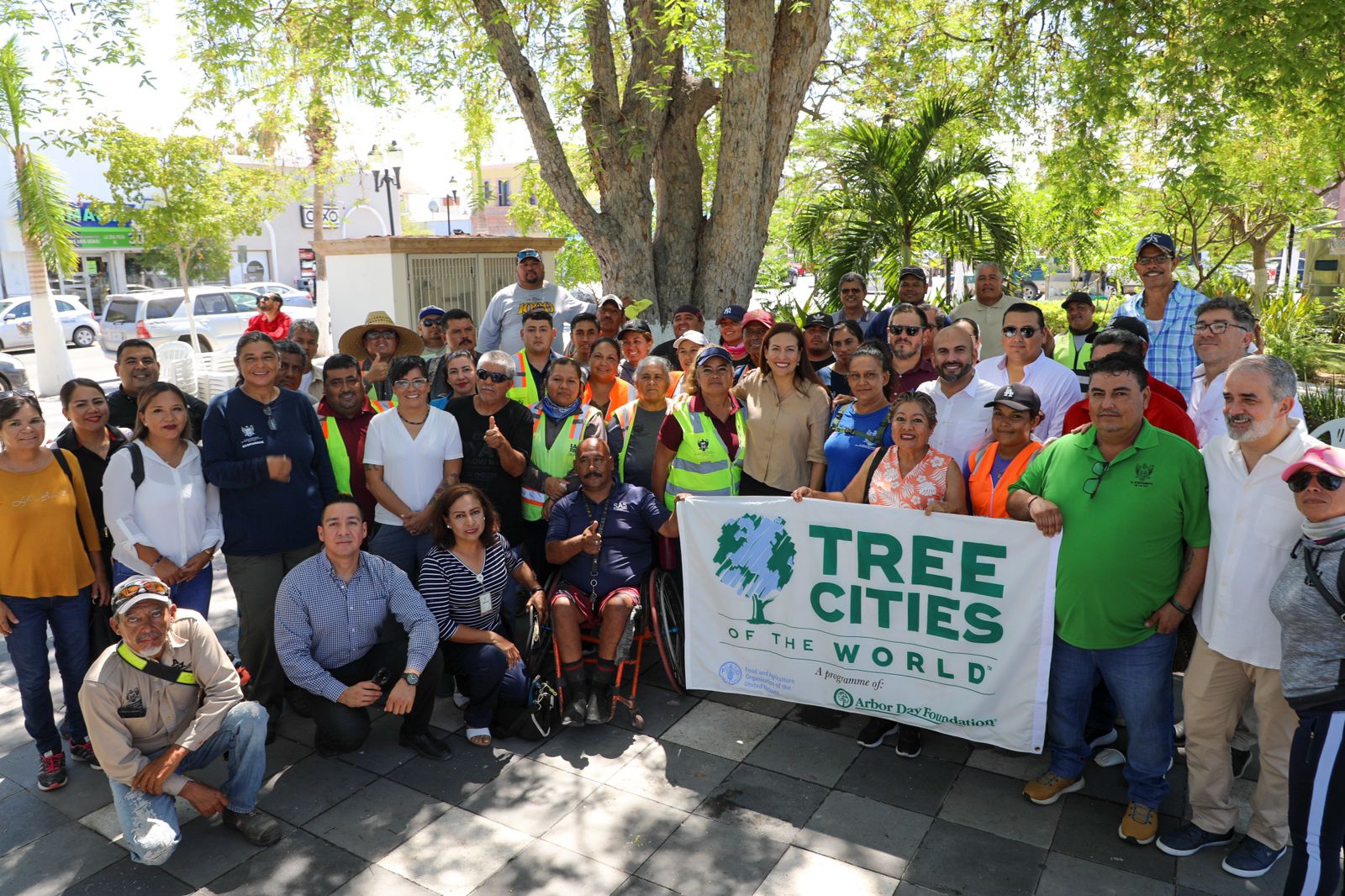 Recibe Ayuntamiento de La Paz reconocimiento como Ciudad Árbol del Mundo