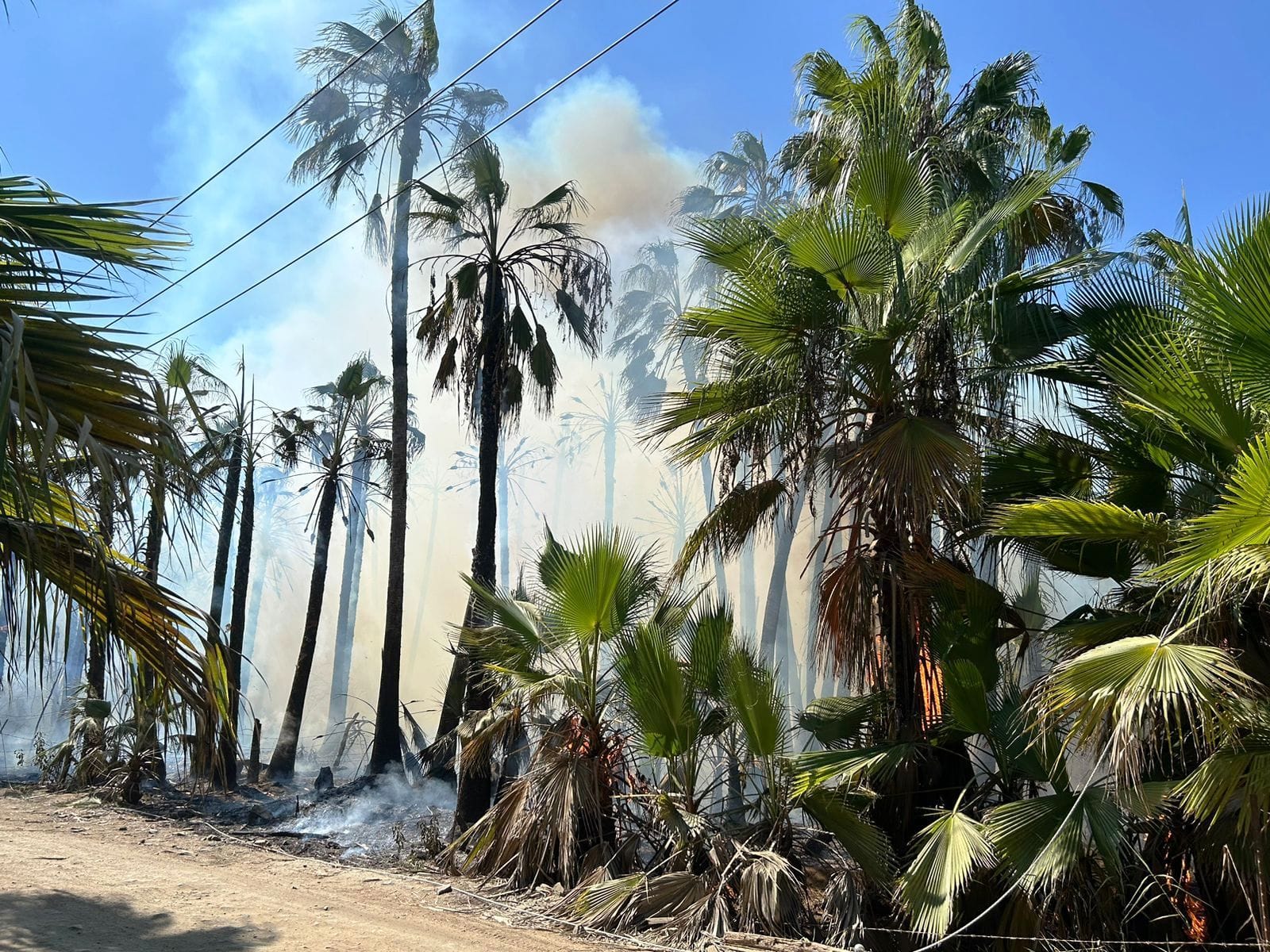 Autoridades atienden tres incendios simultáneos en Todos Santos