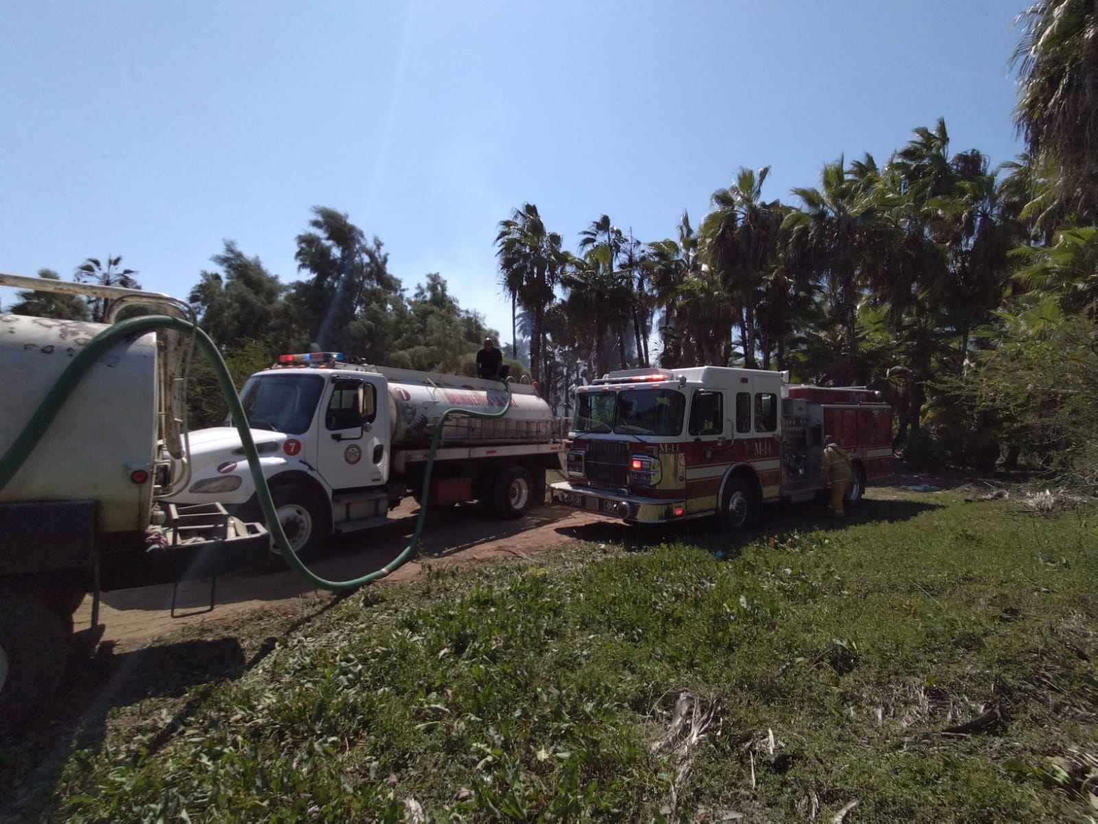 Incendios de Todos Santos fueron sofocados en su totalidad