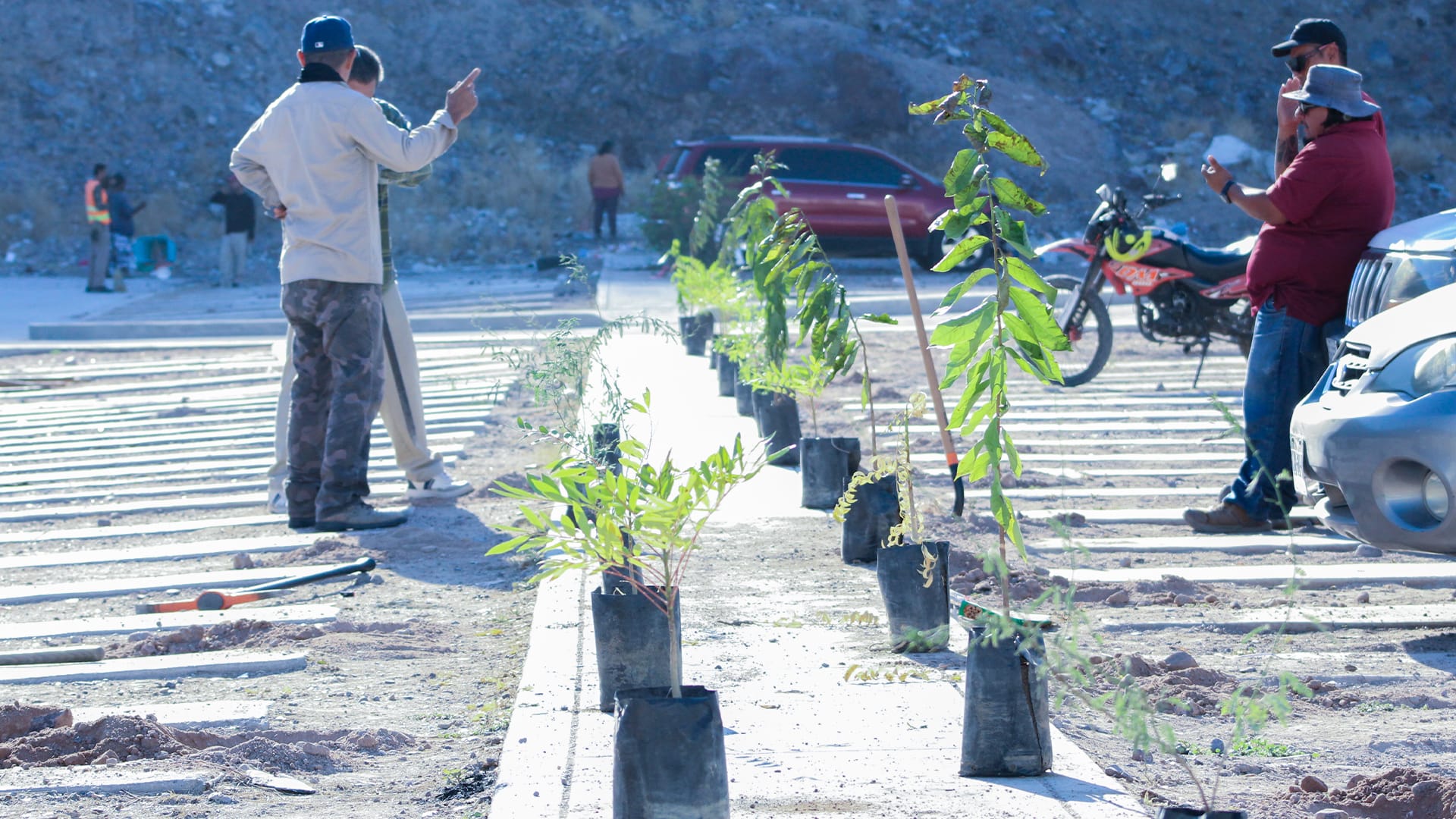 Se reforestaron más de 90 árboles durante el mes de octubre