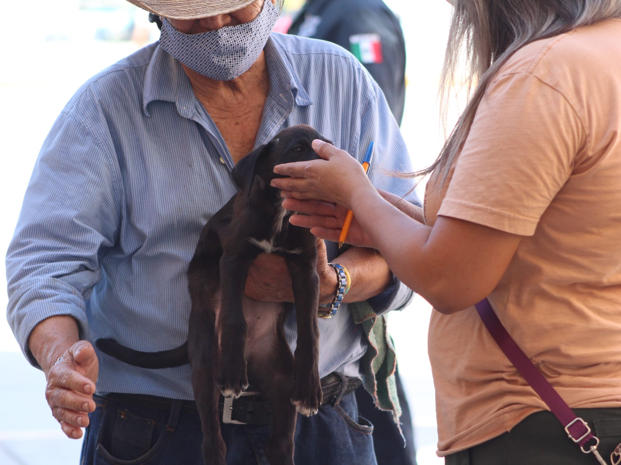 CEMAC La Paz invita a la próxima jornada de adopción canina