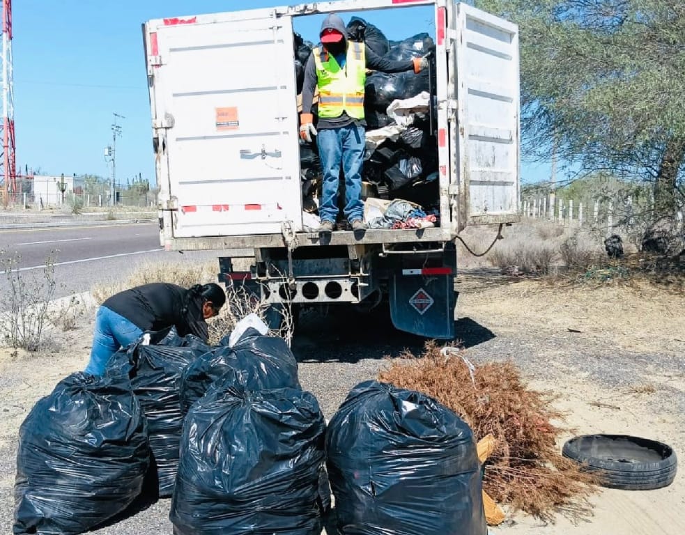 Más de 18 toneladas de residuos recolectados en la carretera La Paz-Todos Santos