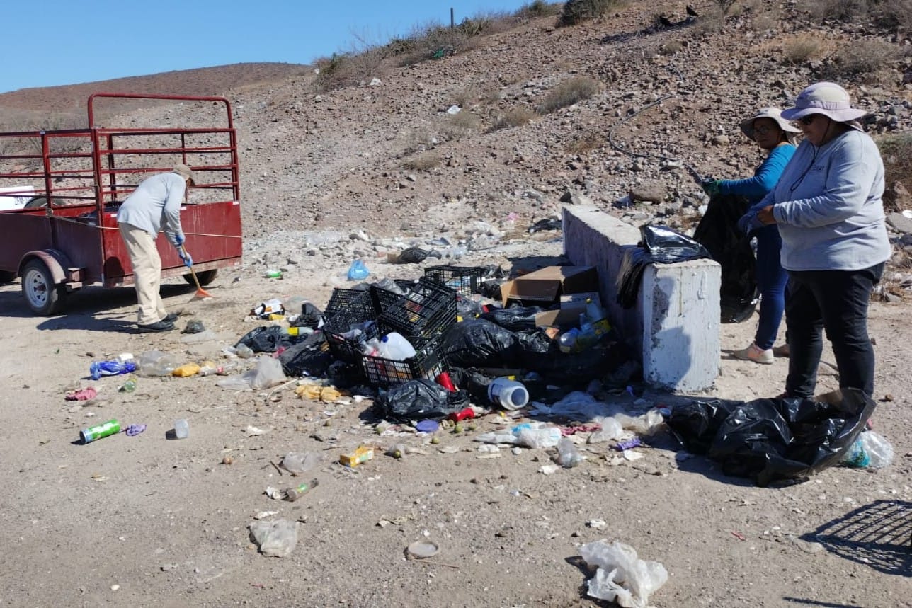 Avanza Zofemat La Paz en limpieza y conservación de playas