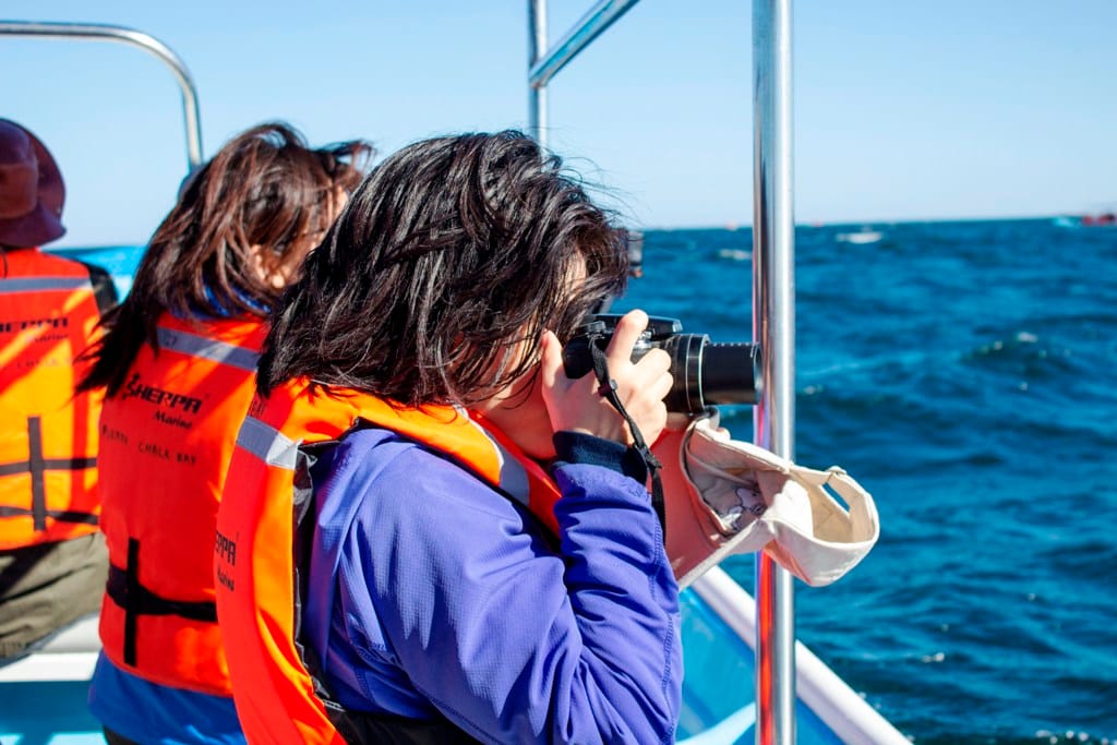 Imparten Taller de Fotografía de Naturaleza en Puerto Chale