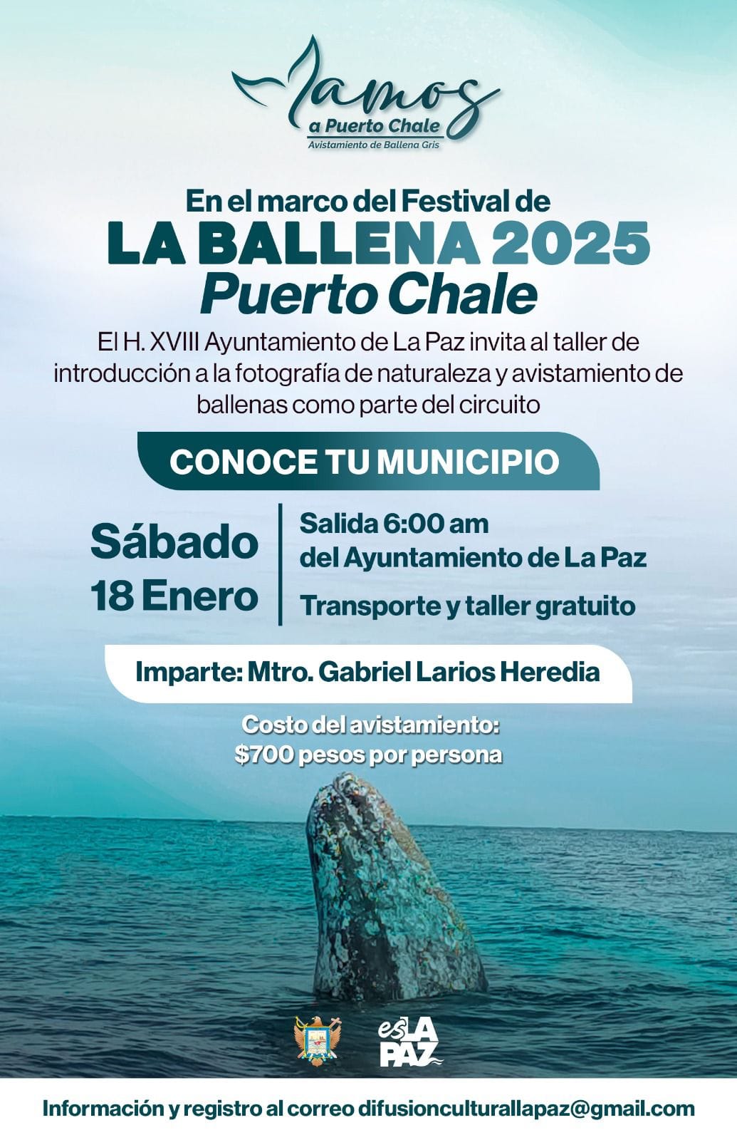 Impartirán taller de fotografía en el marco del Festival de la Ballena en Puerto Chale