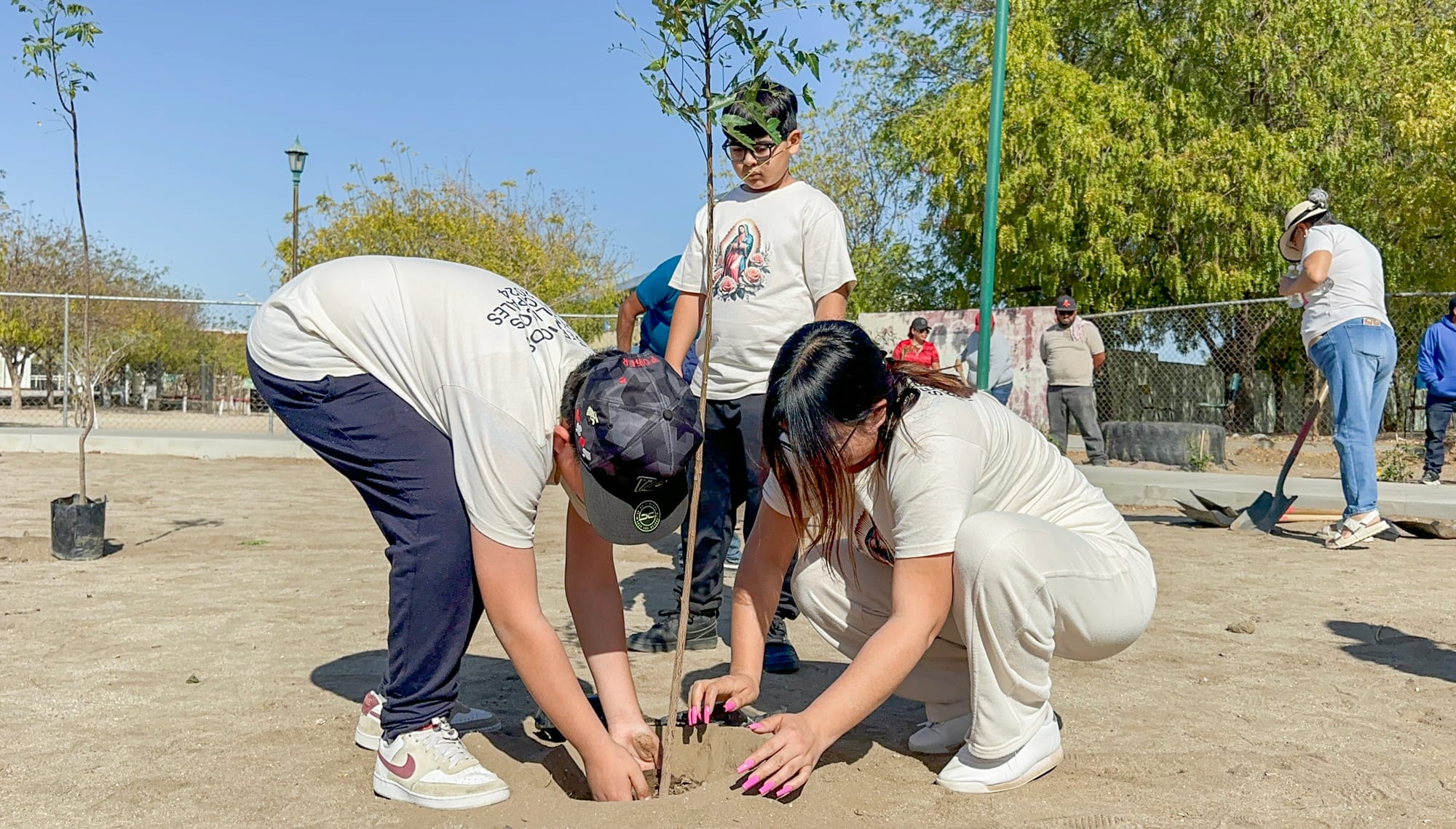 Siembran 100 árboles en parque de la colonia La Fuente