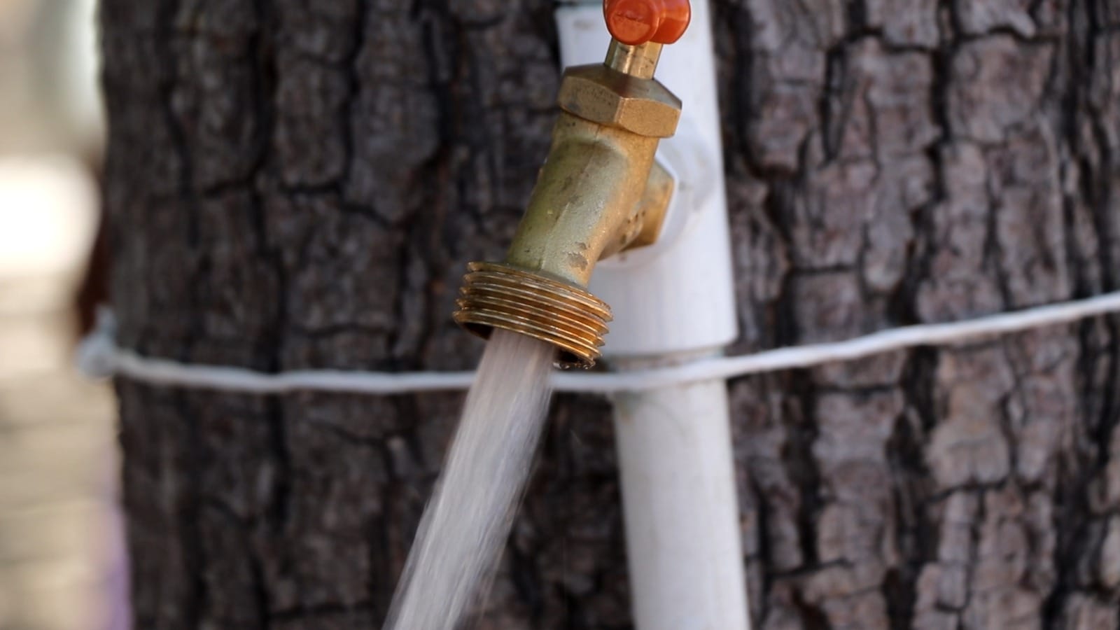 Suministra OOMSAPAS agua potable a 98 colonias de La Paz
