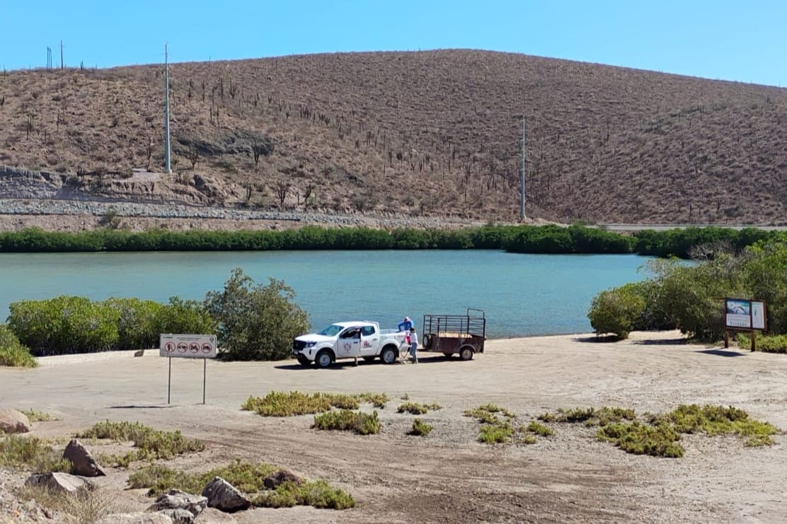 Recolectan más de 5 toneladas de residuos en playas y manglares de La Paz