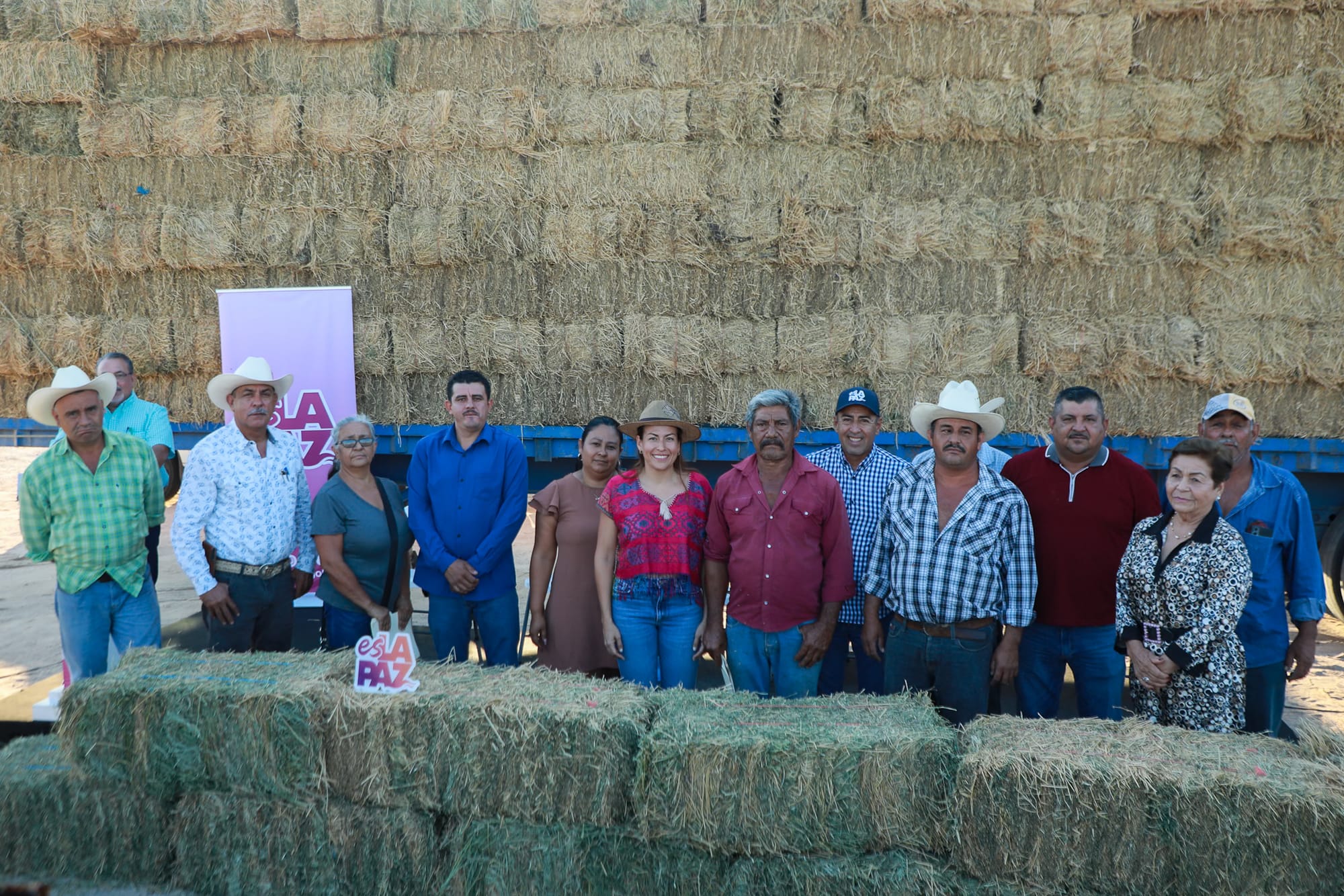 Apoya Milena Quiroga a productores de San Blas y Melitón Albáñez con entrega de alfalfa gratuita