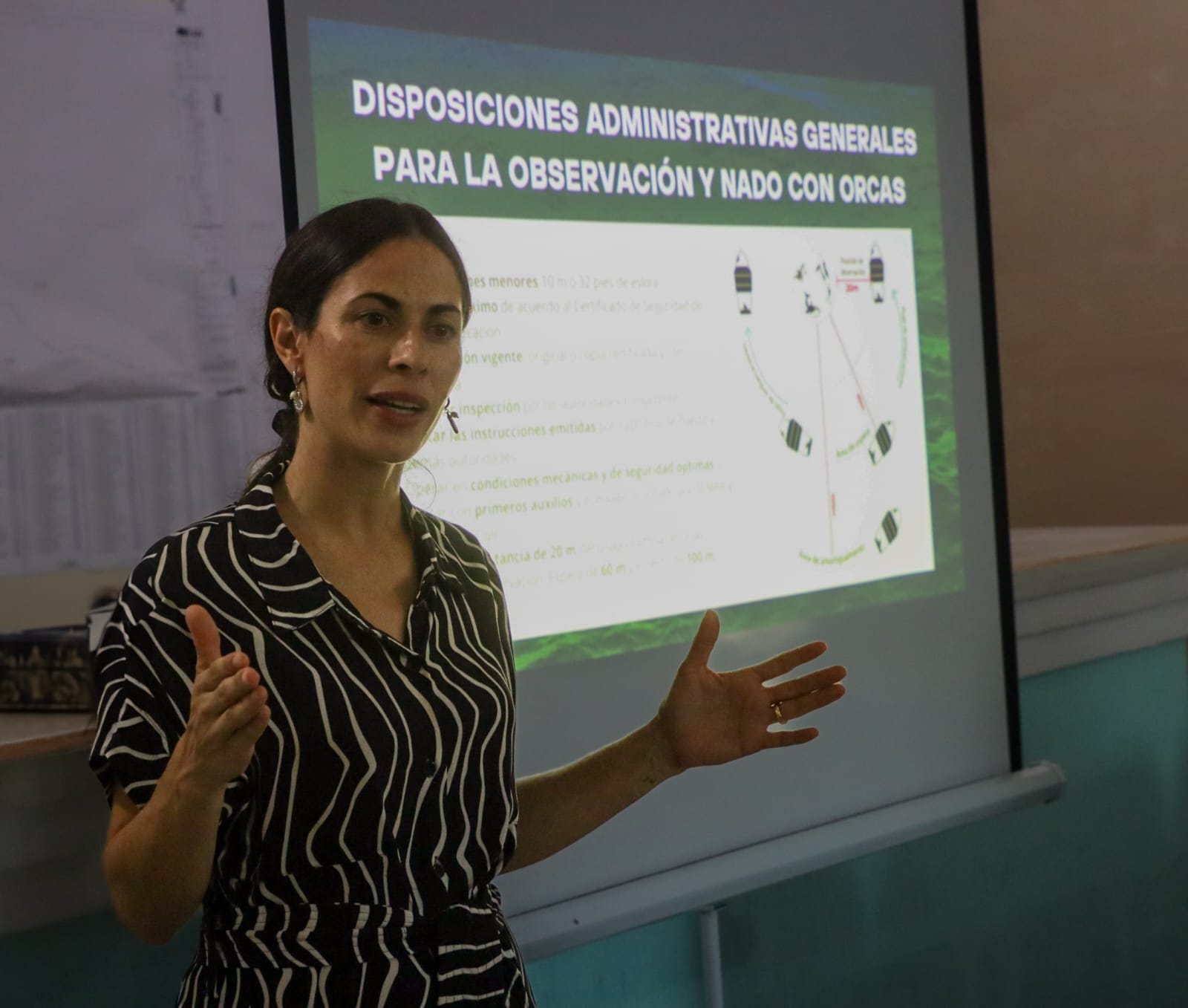 Anuncian la entrada en vigor del primer Plan de Manejo para el aprovechamiento turístico con orcas en Latinoamérica