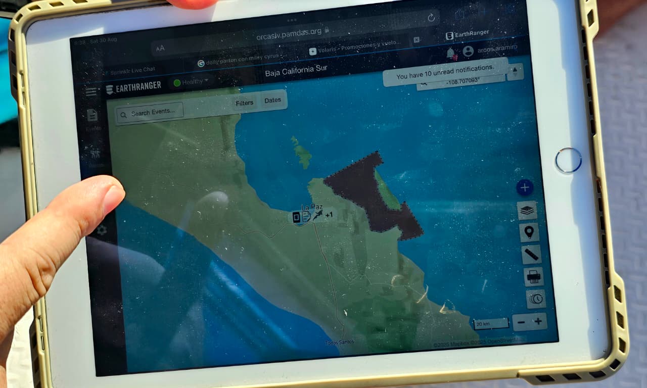 Se realiza prueba exitosa del Sistema de Monitoreo para Avistamiento y Nado con Orcas en La Paz
