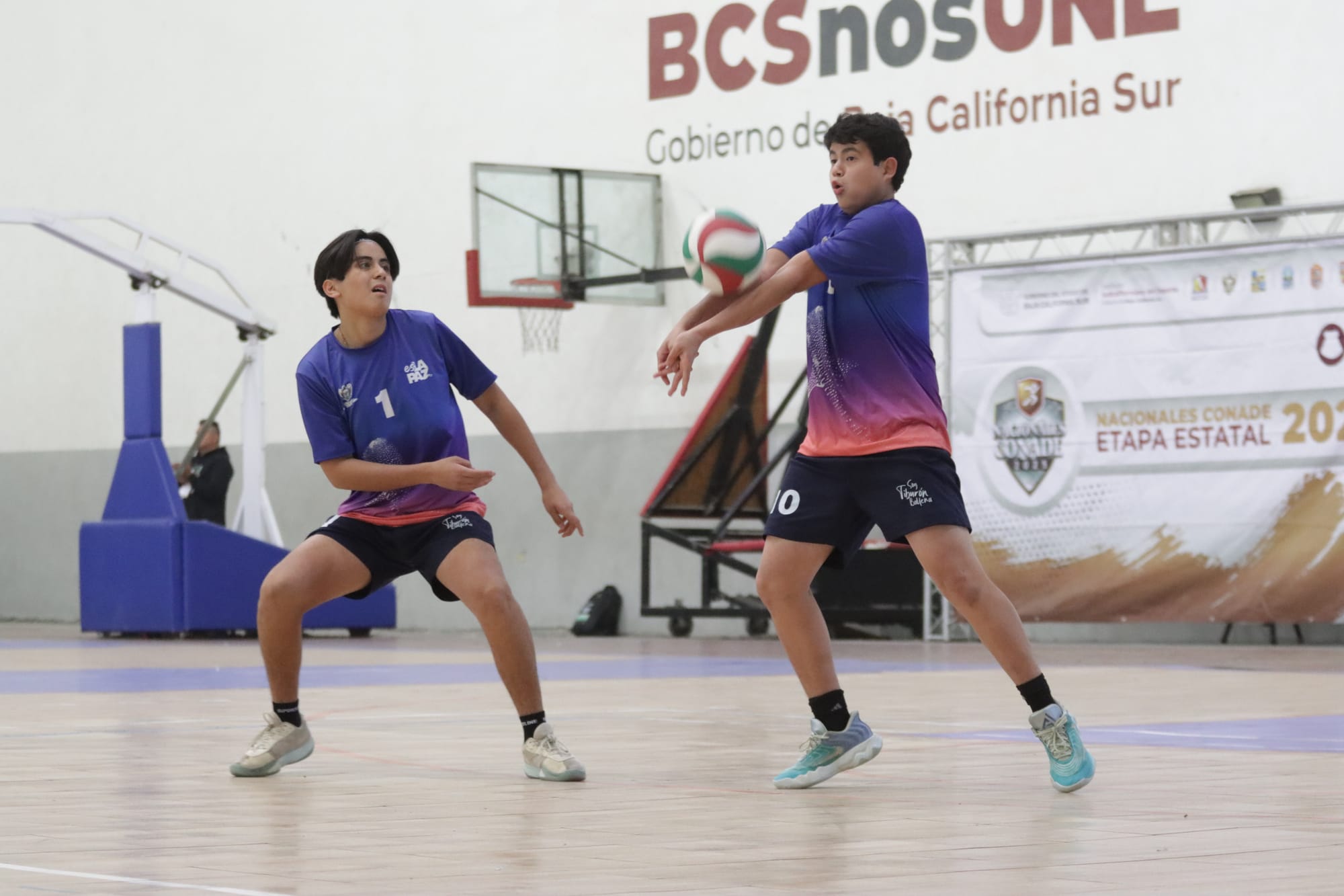 Tendrá La Paz eliminatorias municipales de voleibol de sala y ajedrez