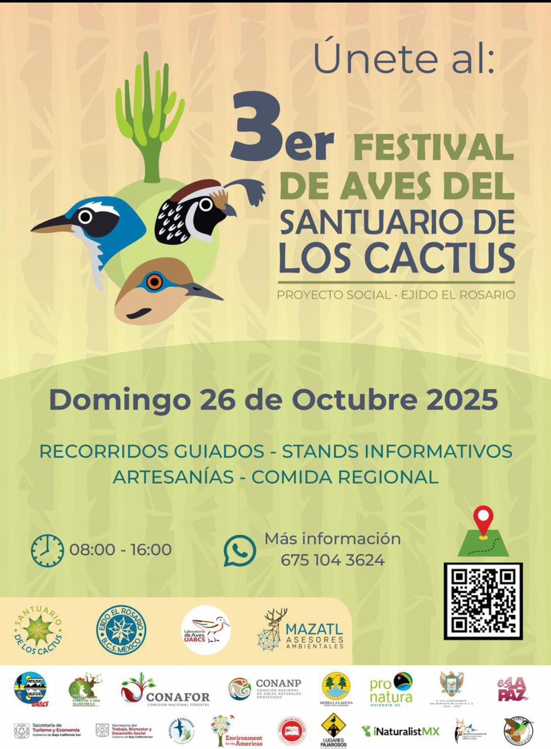 Turismo Municipal de La Paz invita al Tercer Festival de Aves del Santuario de los Cactus