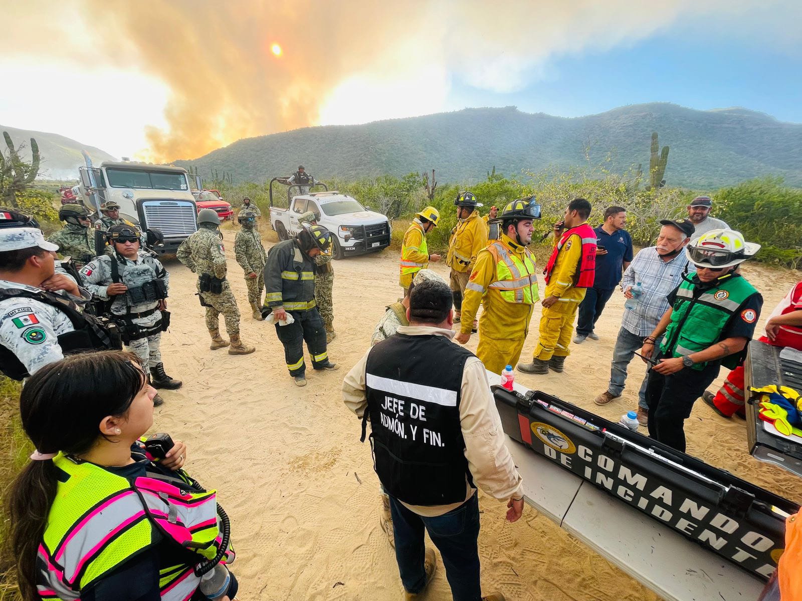 Atendieron bomberos de La Paz incendio en palmar de playa San Pedrito