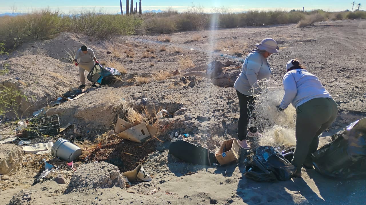 Recolectan 7 toneladas de residuos en playas de La Paz