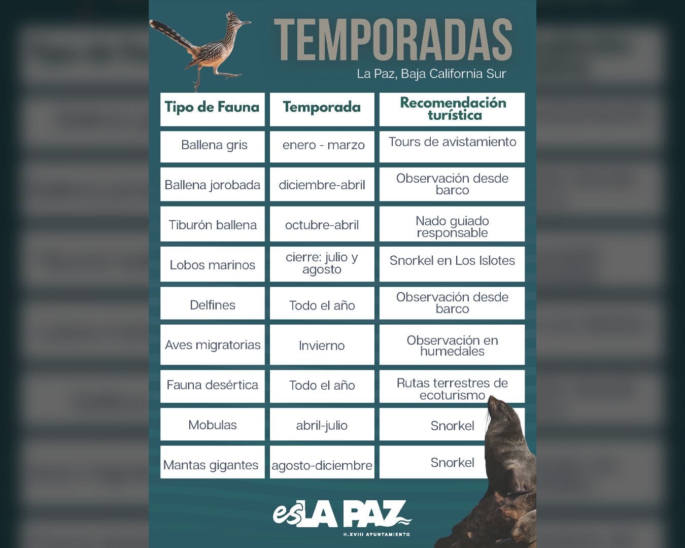 La Paz se consolida como destino de experiencias naturales todo el año