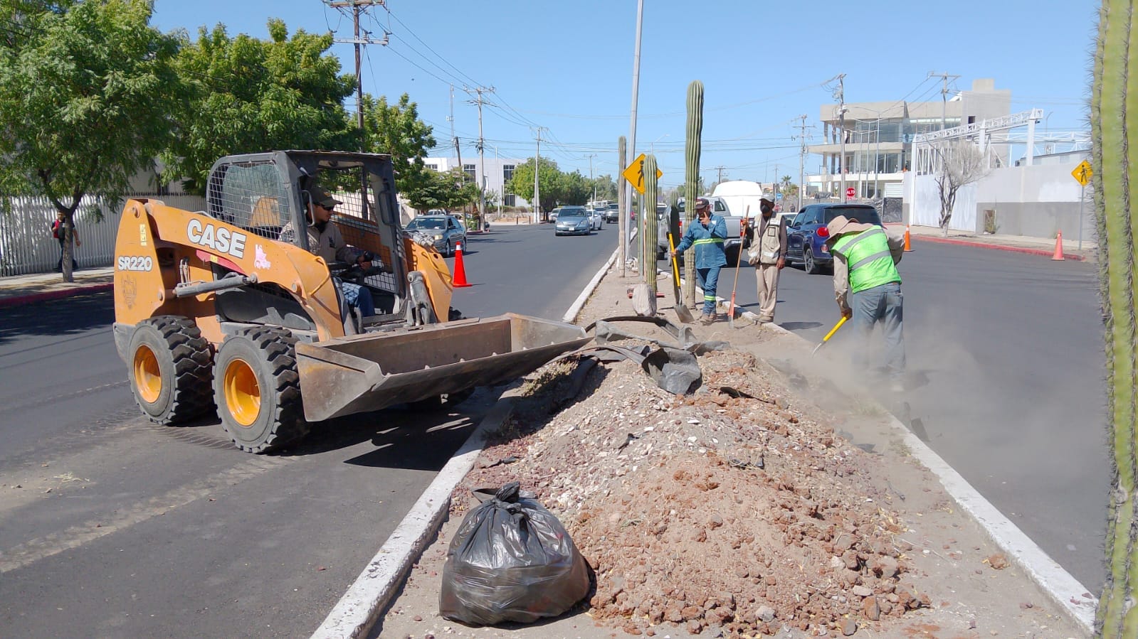 Servicios Públicos de La Paz amplía el programa de Camellones Choyeros