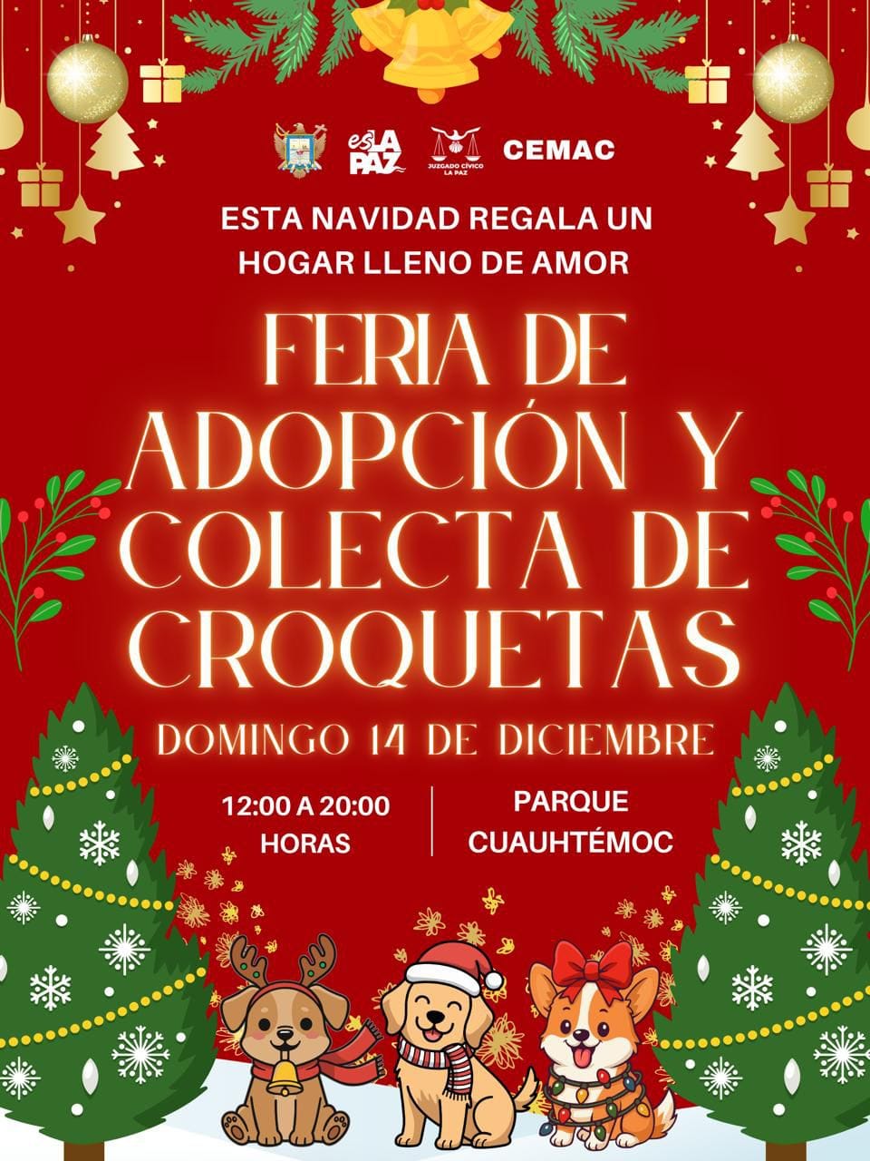 Invita Ayuntamiento de La Paz a la Feria de Adopción Canina
