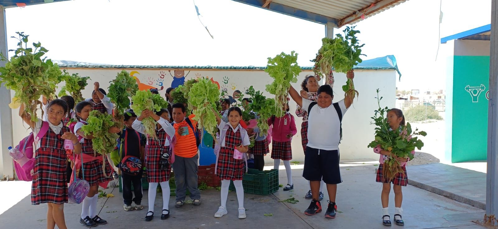 Obtienen primer cosecha del proyecto agroacuicola en Puerto Chale