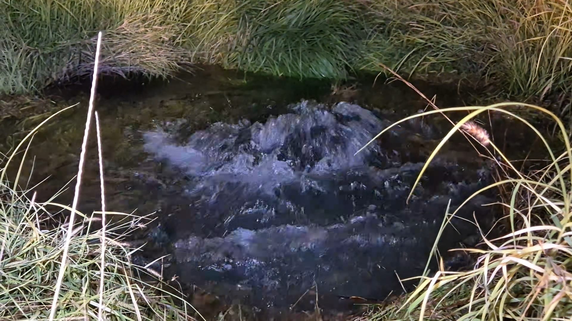 OOMSAPAS La Paz atiende ruptura de acueducto en inmediaciones del TEC; reparación iniciará a primera hora de este lunes