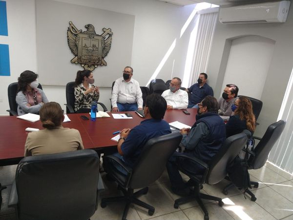 Impulsan Proyecto Comunitario
Avistamiento de la Ballena Gris