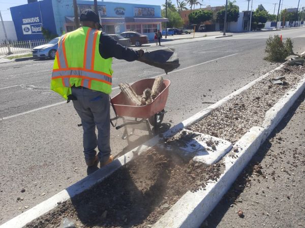 Avanza Servicios Públicos
en limpieza de camellones