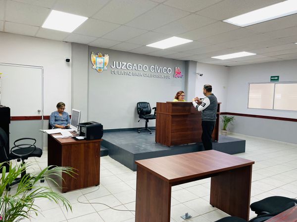 Exhorta Justicia Cívica a denunciar maltrato animal