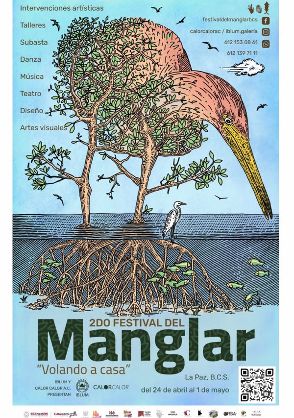 Invitan al 2do. Festival del Manglar en La Paz