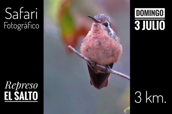 Invitan a “Safari Fotográfico” en el municipio de La Paz