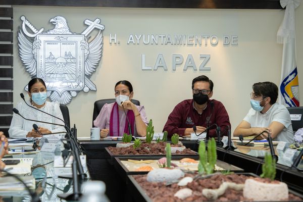 Se reunió el Consejo Municipal de Transporte; modalidad taxis y colectivos.