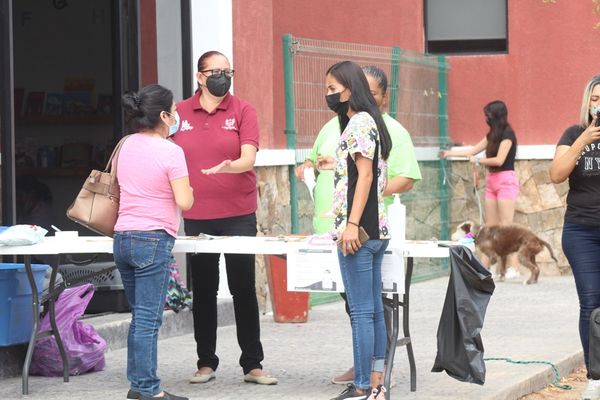 Atendidas 59 mascotas en la Campaña de Esterilización del CEMAC en Perla del Golfo