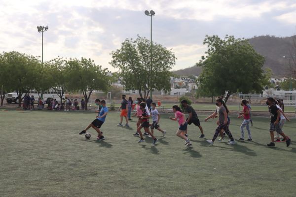 Positiva participación en Curso de Verano del CEDEM